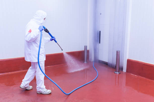 Pre-Holiday Cleaning in Wichita, KS